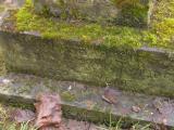 image of grave number 853348